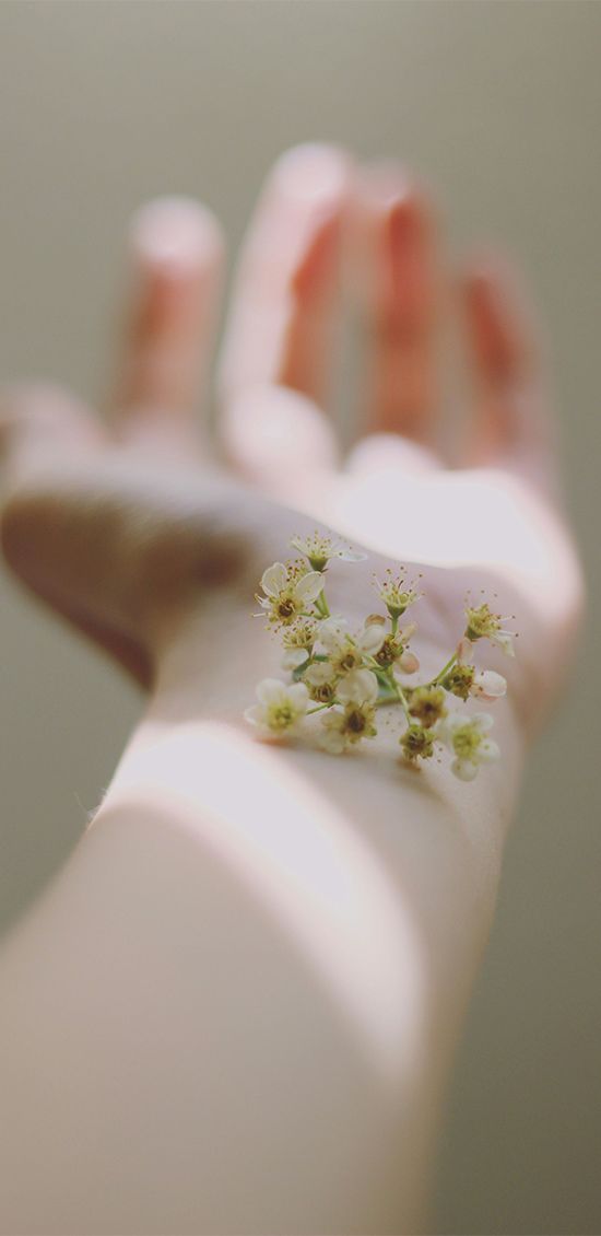 Bioaktivatoren der Haut